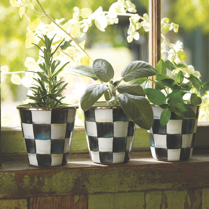 MacKenzie Childs: Courtly Check Herb Pots, Set of 3