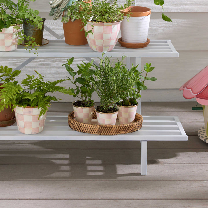 MacKenzie Childs: Rosy Check Herb Pots, Set of 3
