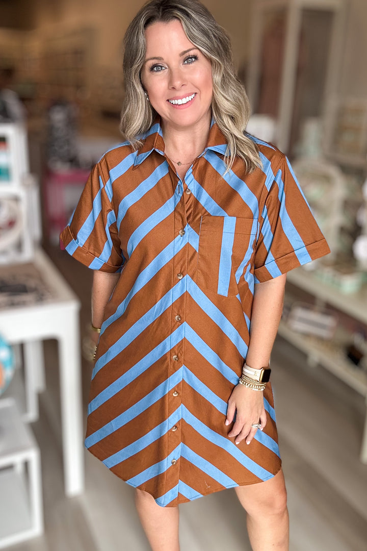 Stripe Into Fall Button Front Dress - Brown + Blue