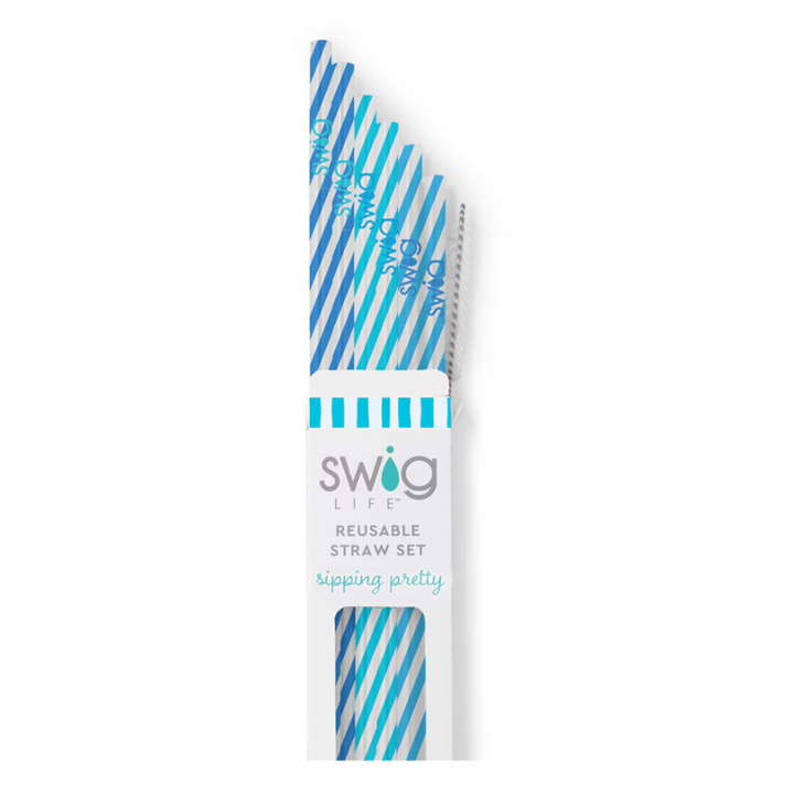 Swig: Glacier Stripe Reusable Straw Set