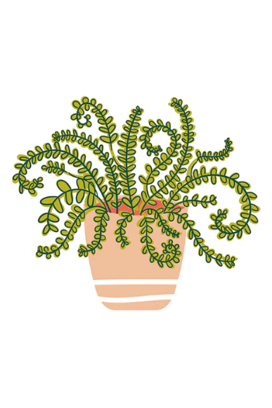 2025 Attachelor Happy House Plant 