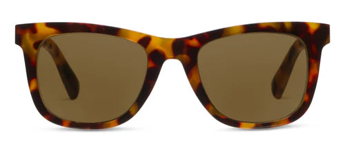 Peepers: Harbor Polarized Sun - Tortoise