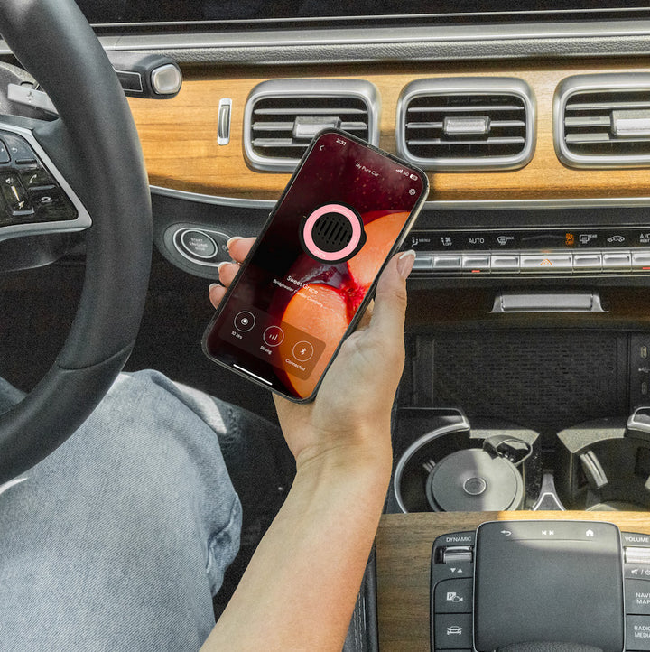 Pura Sweet Grace Car Diffuser Kit - B Social Boutique