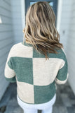 Z Supply: Rosi Blocked Sweater - Palm Green