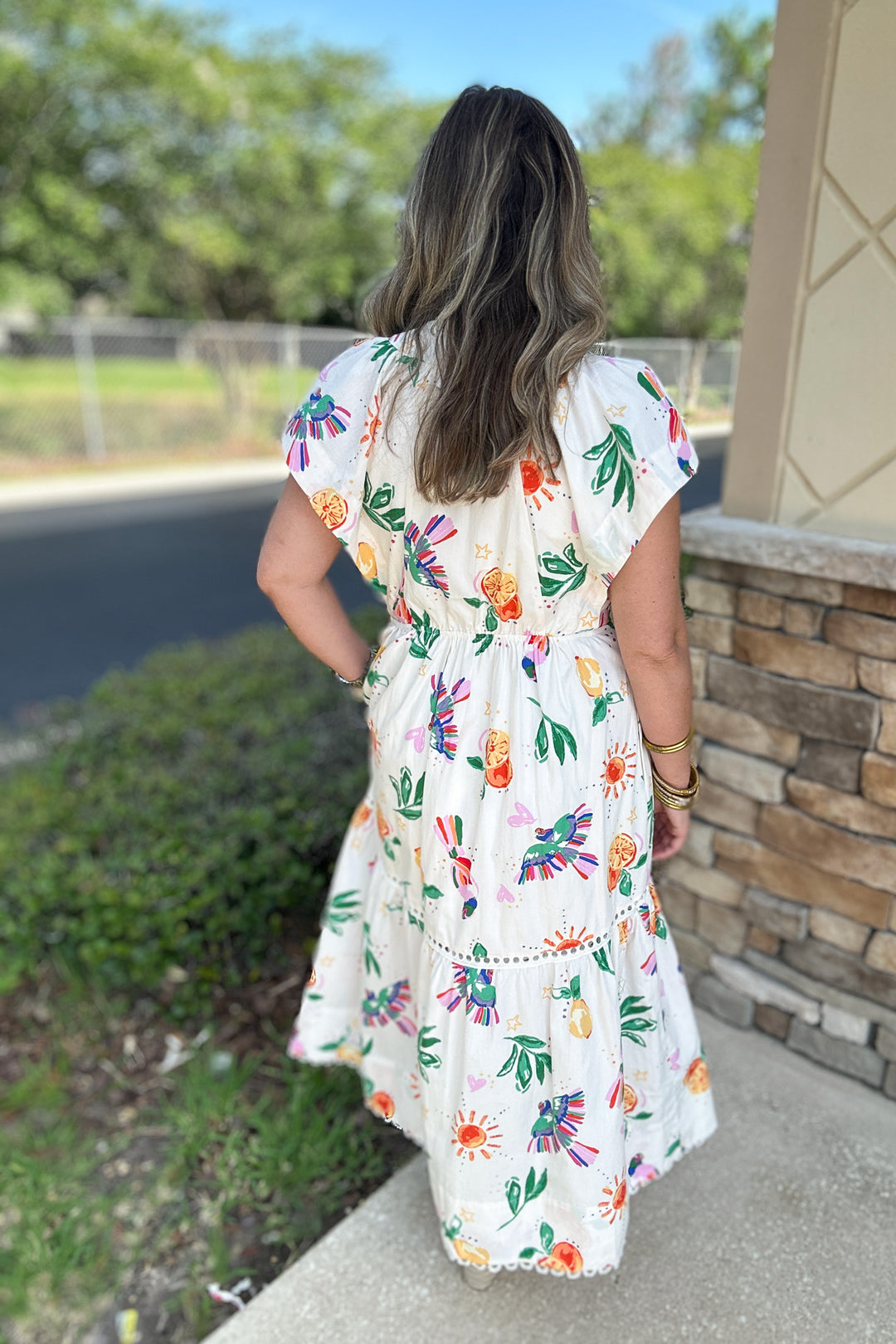 Karlie: Toucan Fruit V-neck Maxi Dress