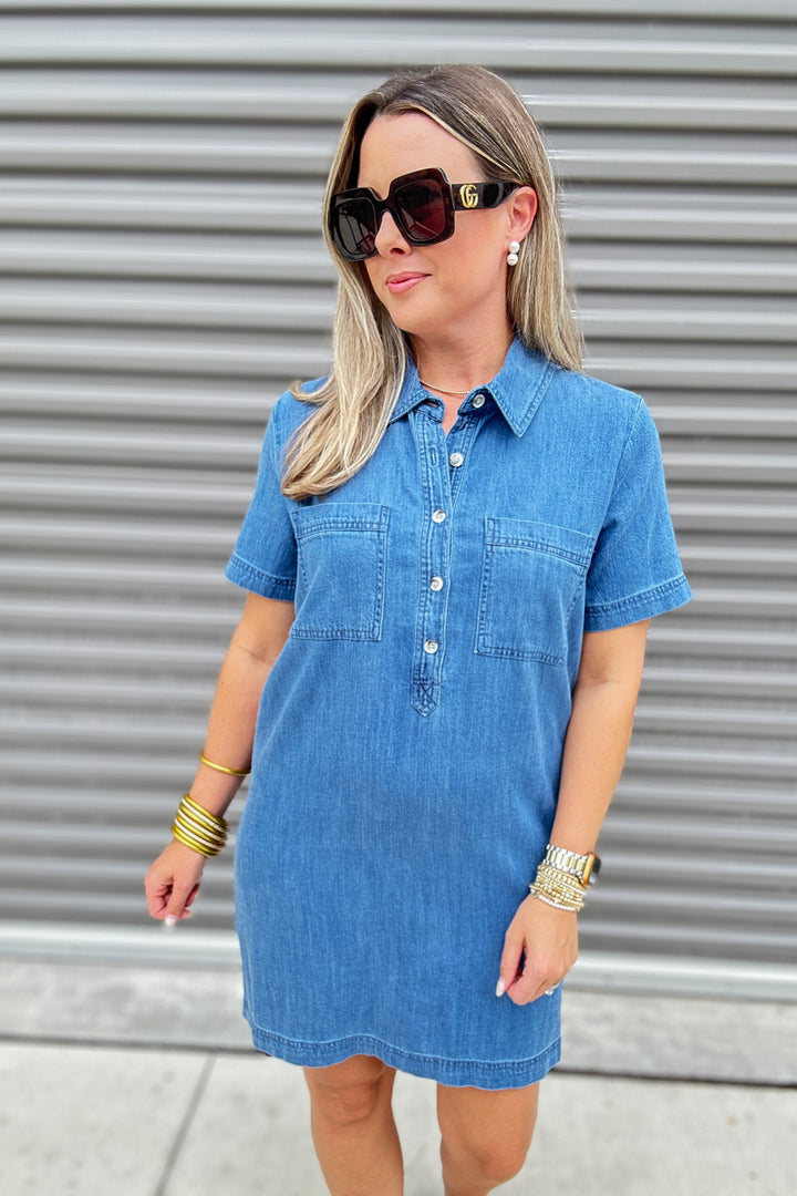 Z Supply: Kellie Denim Mini Dress