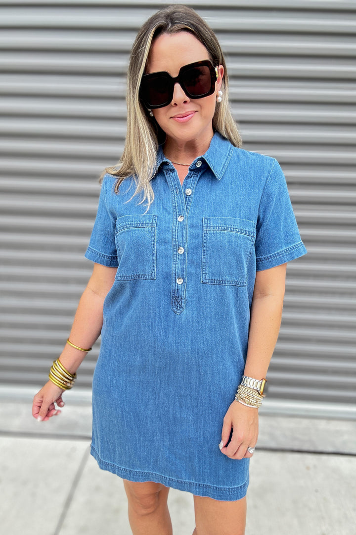 Z Supply: Kellie Denim Mini Dress