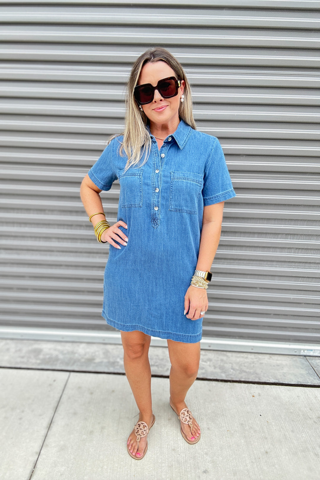 Z Supply: Kellie Denim Mini Dress