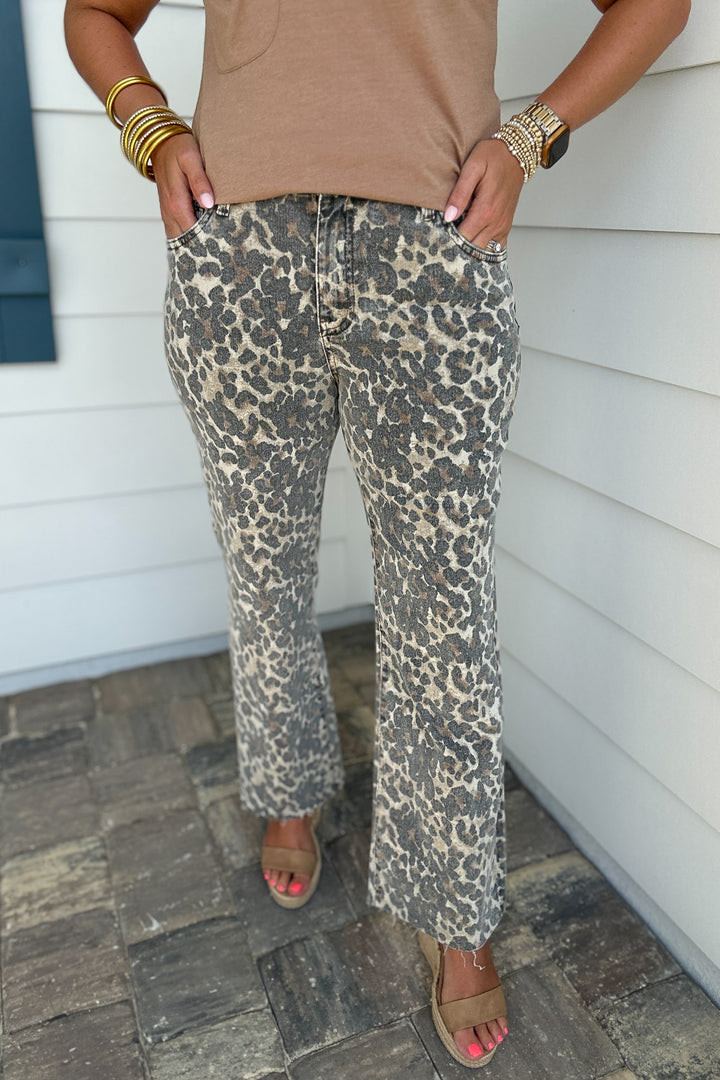 KUT: Kelsey High Rise Leopard Ankle Flare