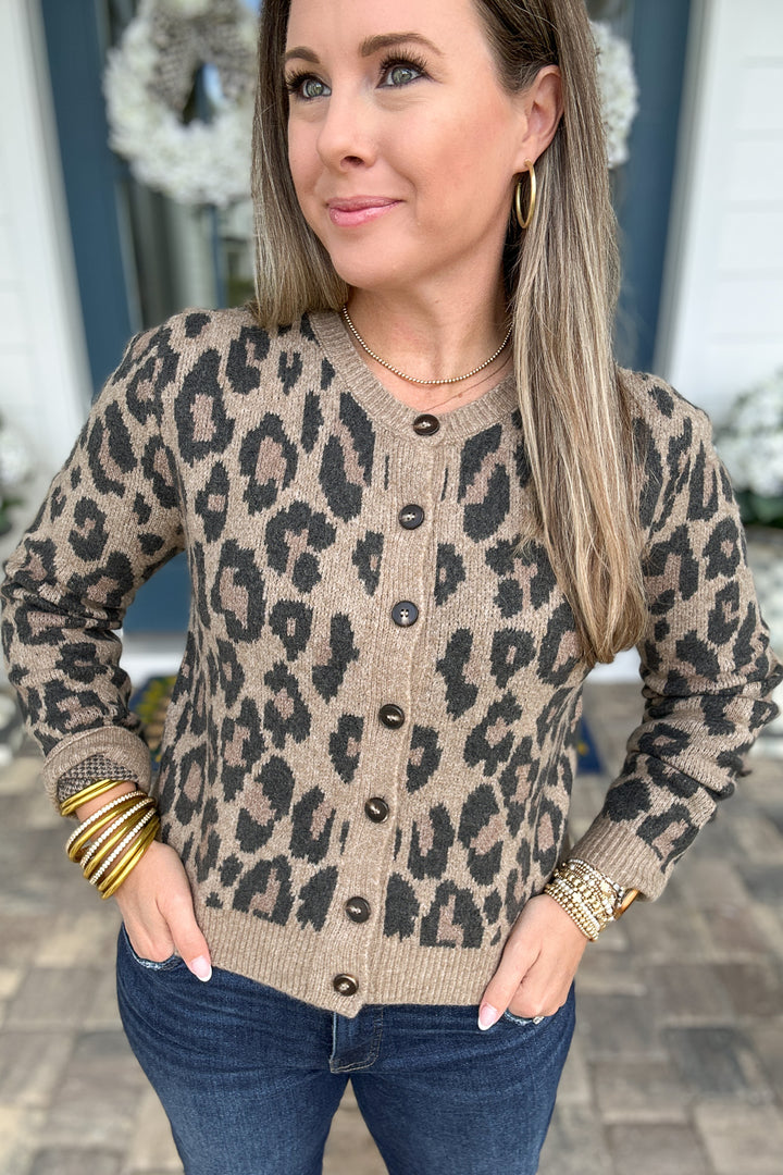 Z Supply: Wild Outlook Leopard Cardigan
