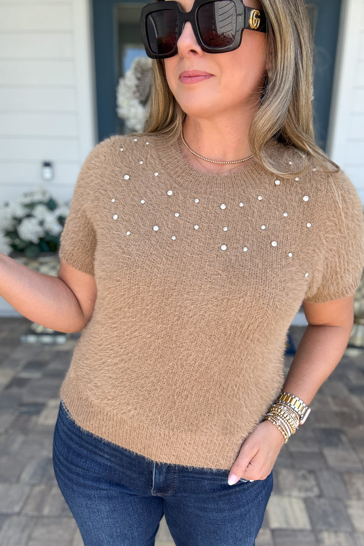 Chestnut Charm Rhinestone Short Sleeve Sweater