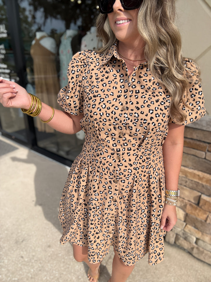 Mary Square: Rory Mini Dress - Sweet Spot