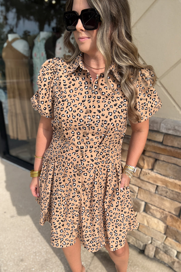 Mary Square: Rory Mini Dress - Sweet Spot