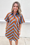 Stripe Into Fall Button Front Dress - Brown + Blue