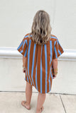 Stripe Into Fall Button Front Dress - Brown + Blue