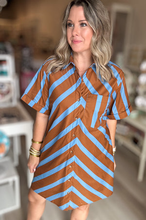 Stripe Into Fall Button Front Dress - Brown + Blue