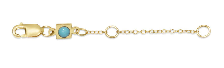 enewton: 2” Necklace Extender - Gold - B Social Boutique