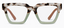 Peepers: Take a Bow - Chai Tortoise/Green