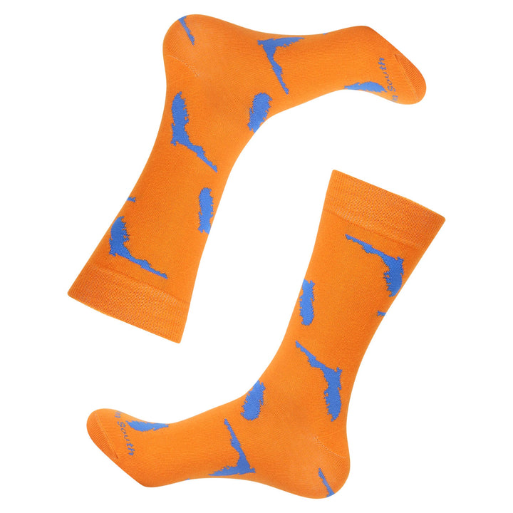 Orange/Blue Florida Shape Socks