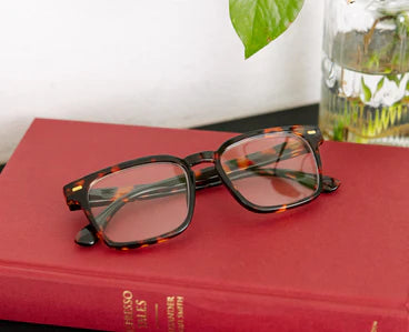 Peepers: Jude - Tortoise