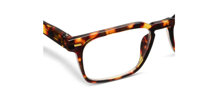 Peepers: Jude - Tortoise